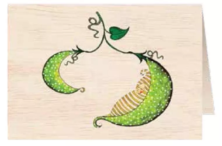 Karnet drewniany C6 + koperta Narodziny fasolka - Książki