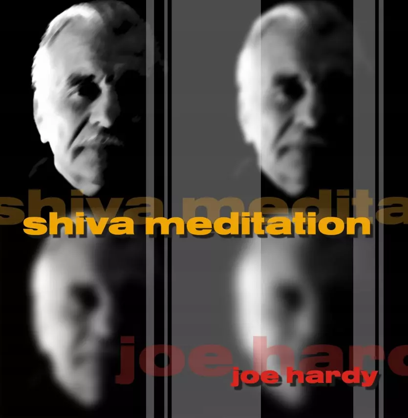 Shiva Meditation (Medytacja Sziwy), CD - Muzyka