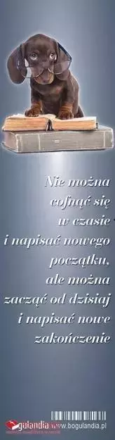 Zakładka do książek. Nie można cofnąć się w czasie... - Papiernicze i szkolne