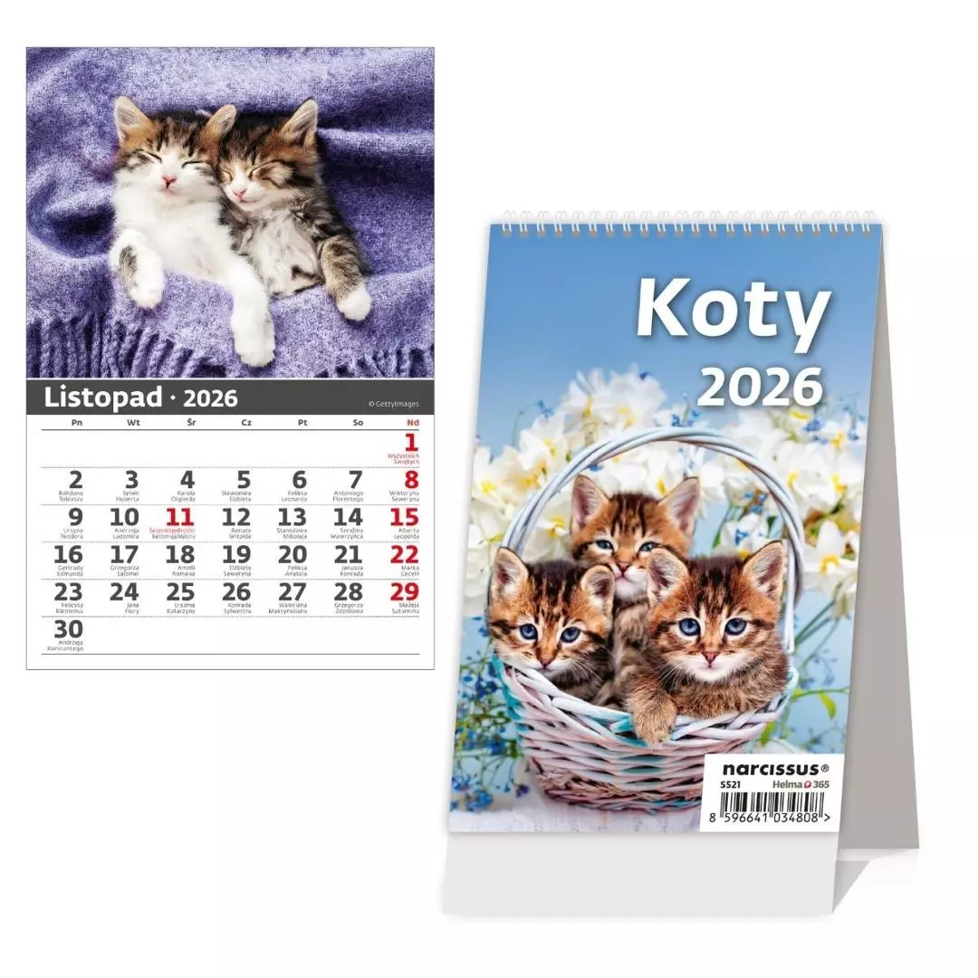 Kalendarz 2026 biurkowy pionowy miesięczny HELMA - Książki