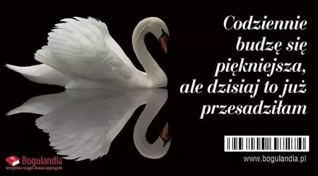 Magnes na lodówkę. Codziennie budzę się piękniejsza... - Papiernicze i szkolne