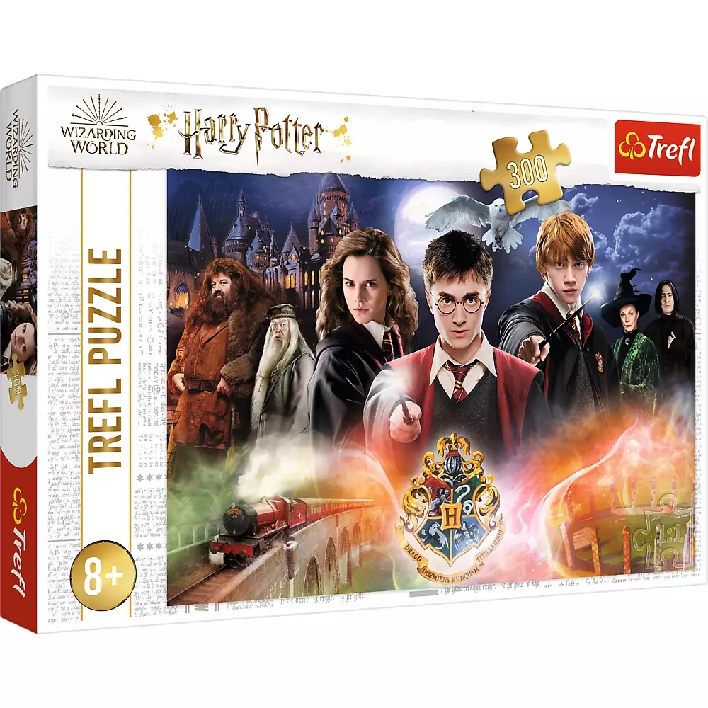 Puzzle 300 elementów. Wizarding World. Harry Potter - Puzzle