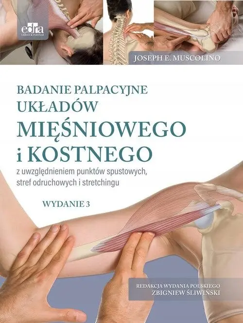Badanie palpacyjne układów mięśniowego i kostnego z uwzględnieniem punktów spustowych stref odruchowych i stretchingu - Książki