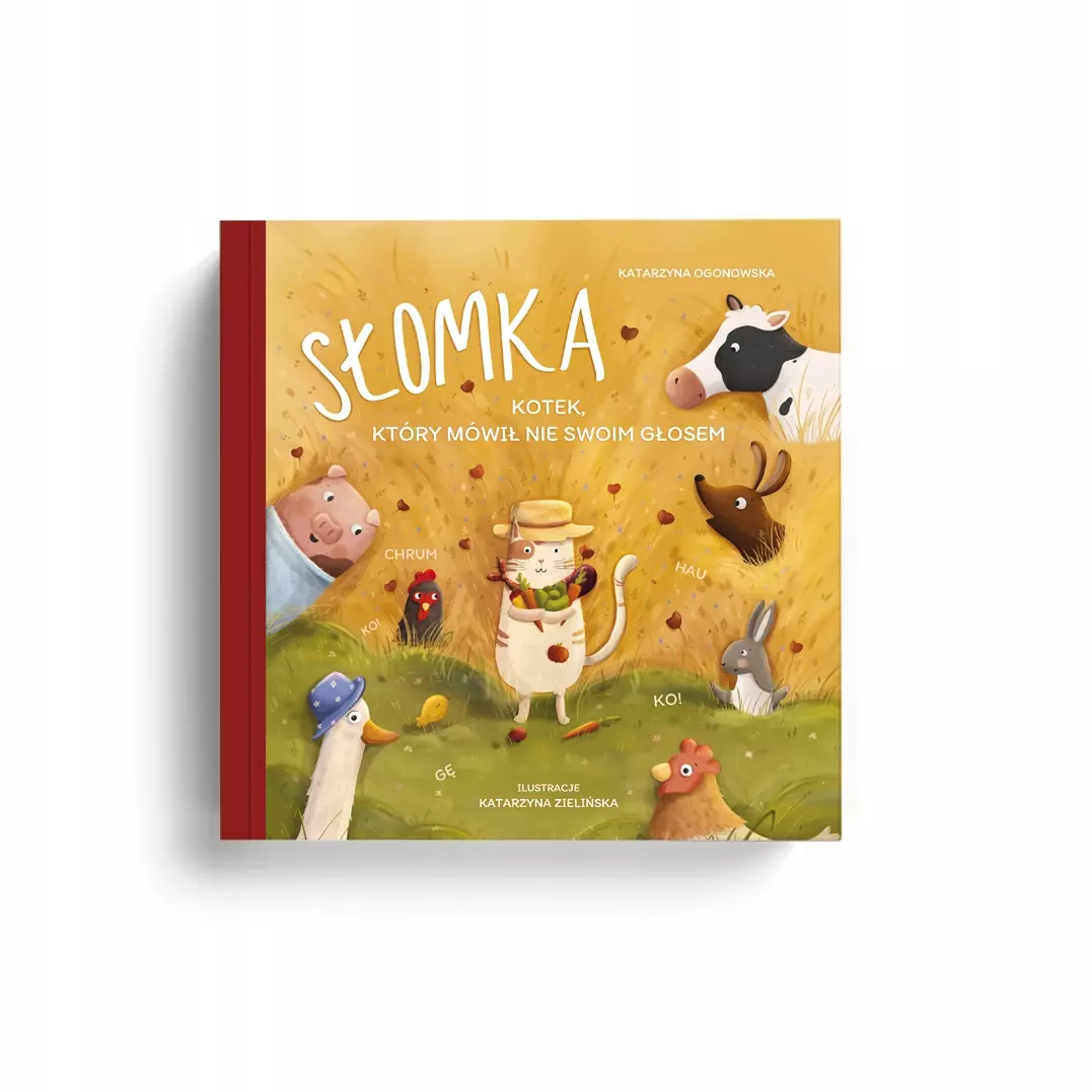 Słomka - kotek, który mówił nie swoim głosem - Książki