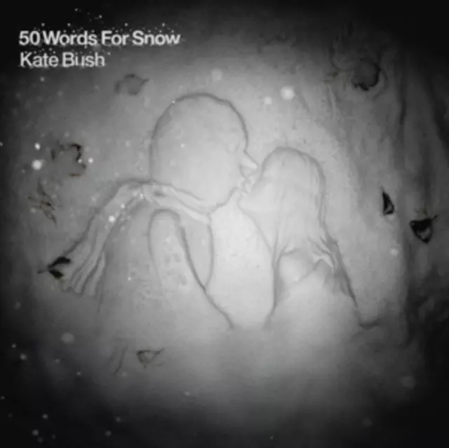 50 WORDS FOR SNOW. CD - Muzyka