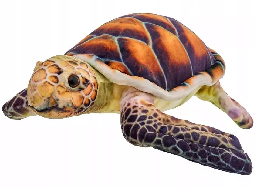 Żółw brązowy 28cm