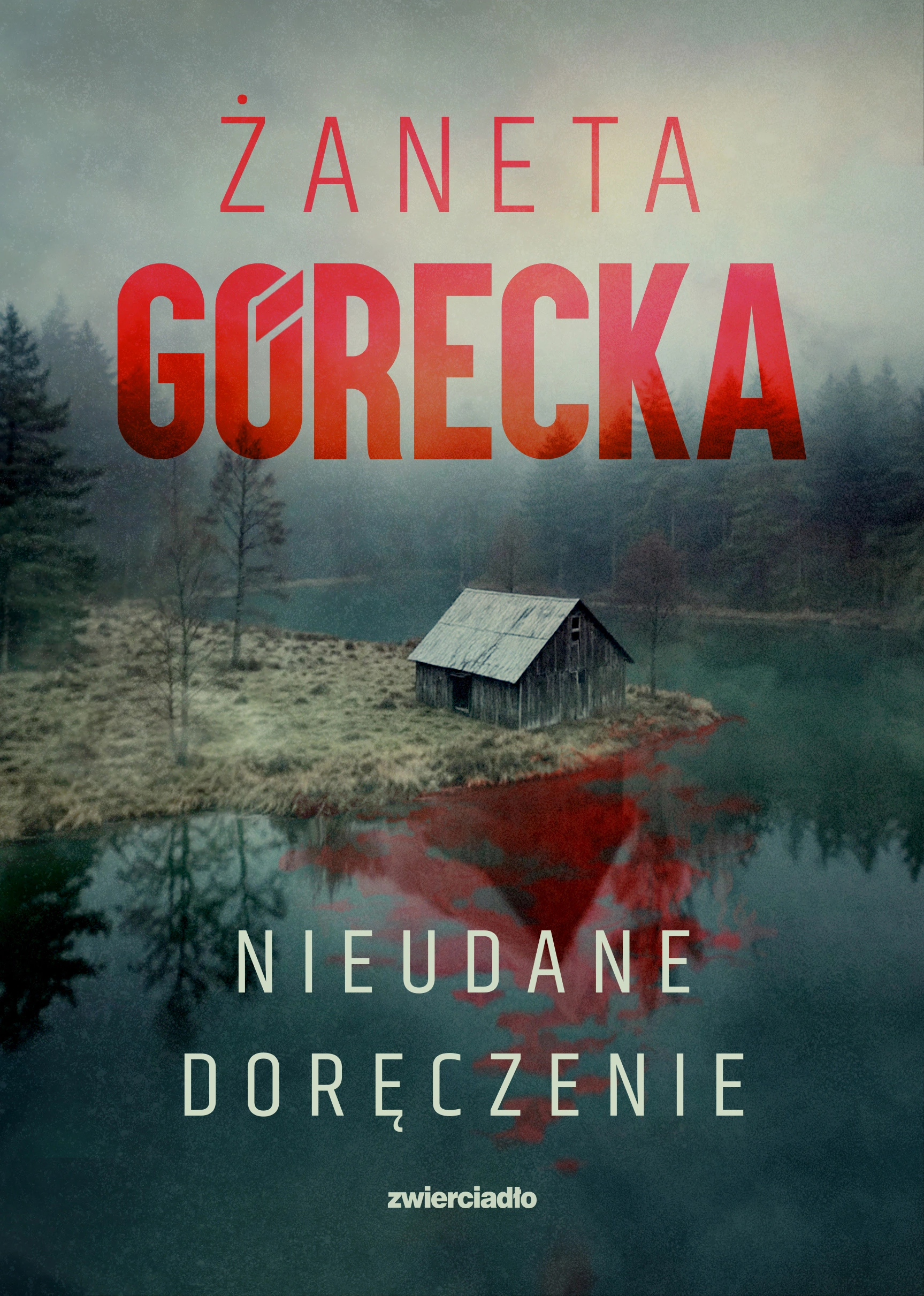 Nieudane doręczenie - Książki