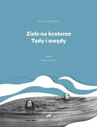 Ziele na kraterze. Tędy i owędy. Wybór - Książki