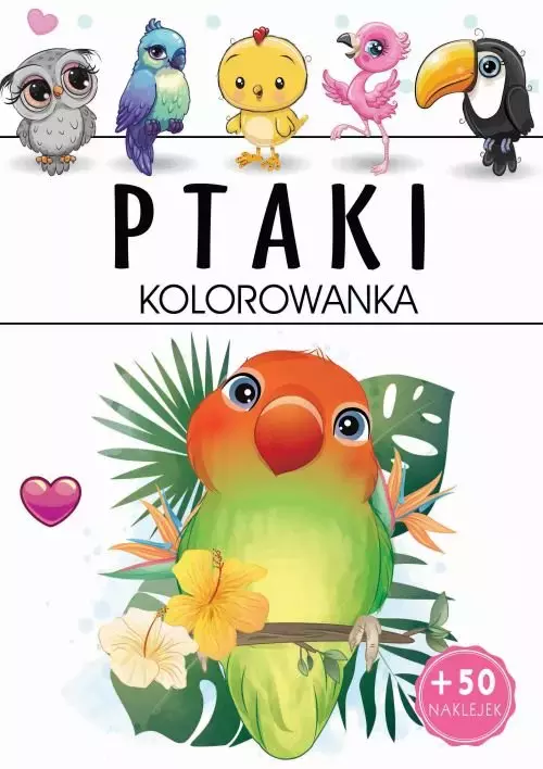 Ptaki. Kolorowanka - Książki