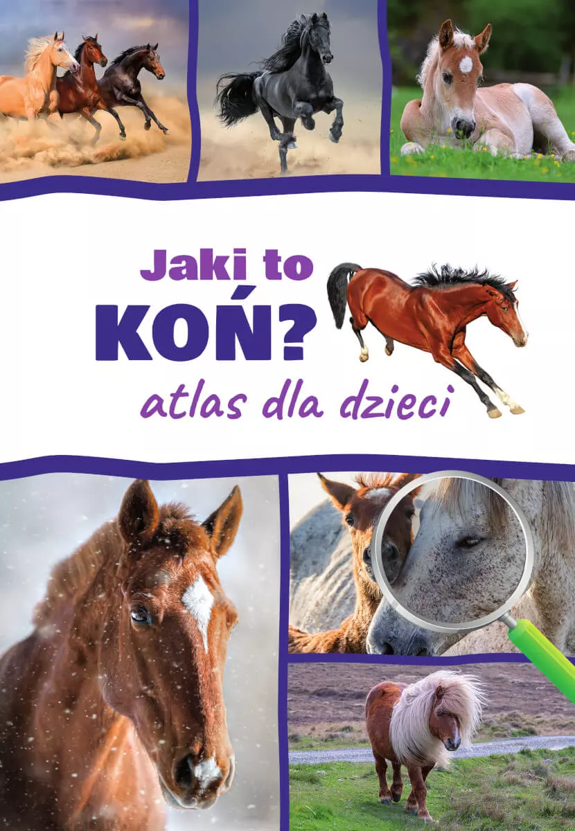Jaki to koń? Atlas dla dzieci - Książki