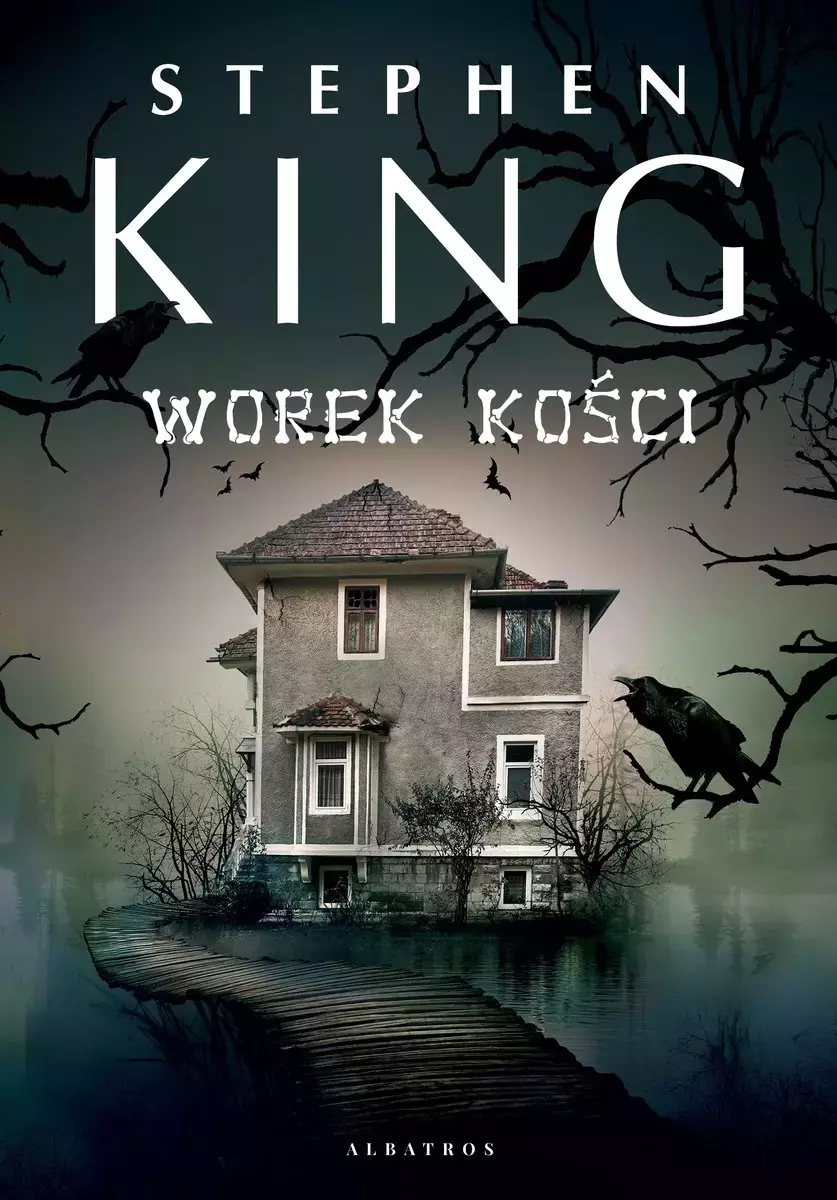 Worek kości - Książki