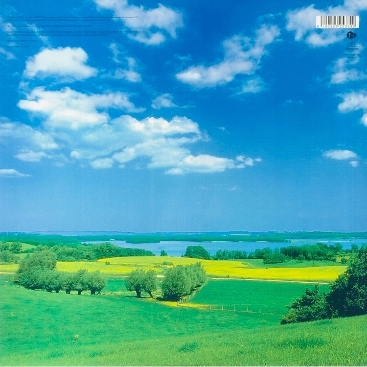 Earthling, Winyl - Muzyka