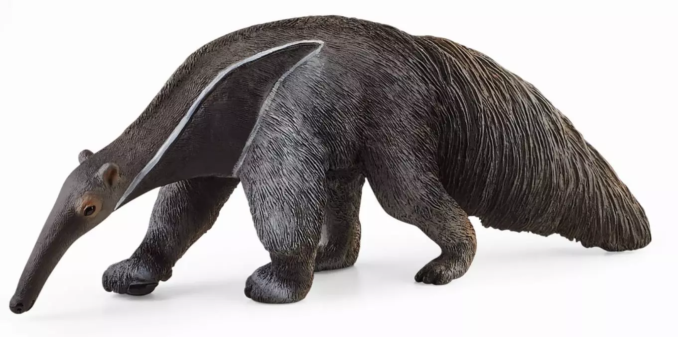 Wild Life. SLH14844. Mrówkojad