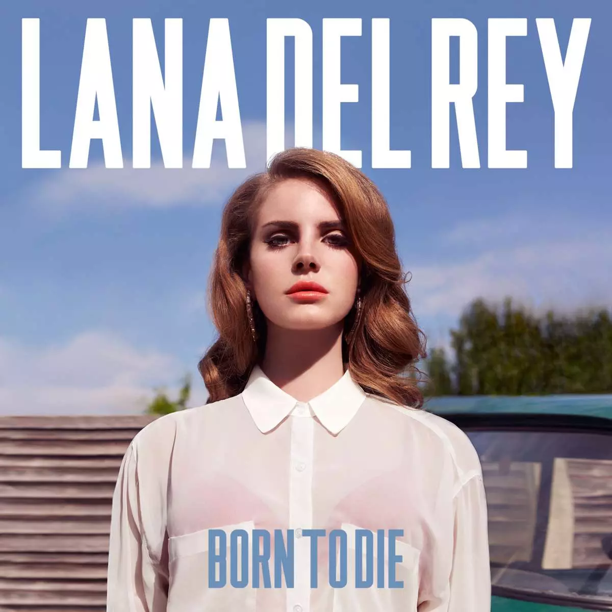 Born to die. 2 LP - Muzyka