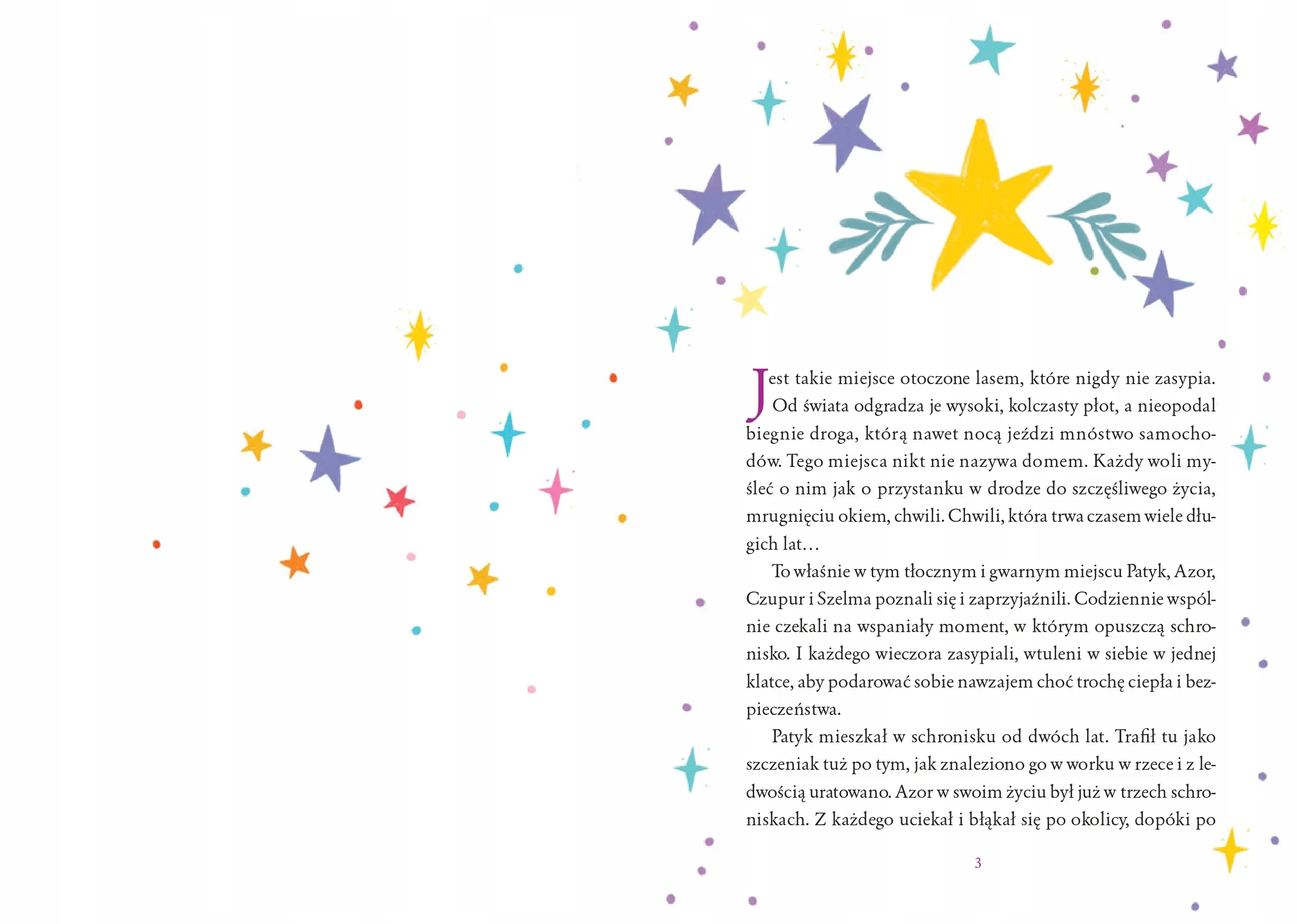 Święty pan Mikołaj Skrzat Książeczka Świąteczna Święta Mikołajki Gwiazdka - Książki