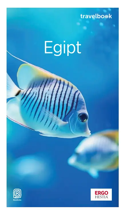 Egipt. Travelbook, wydanie 4 - Książki