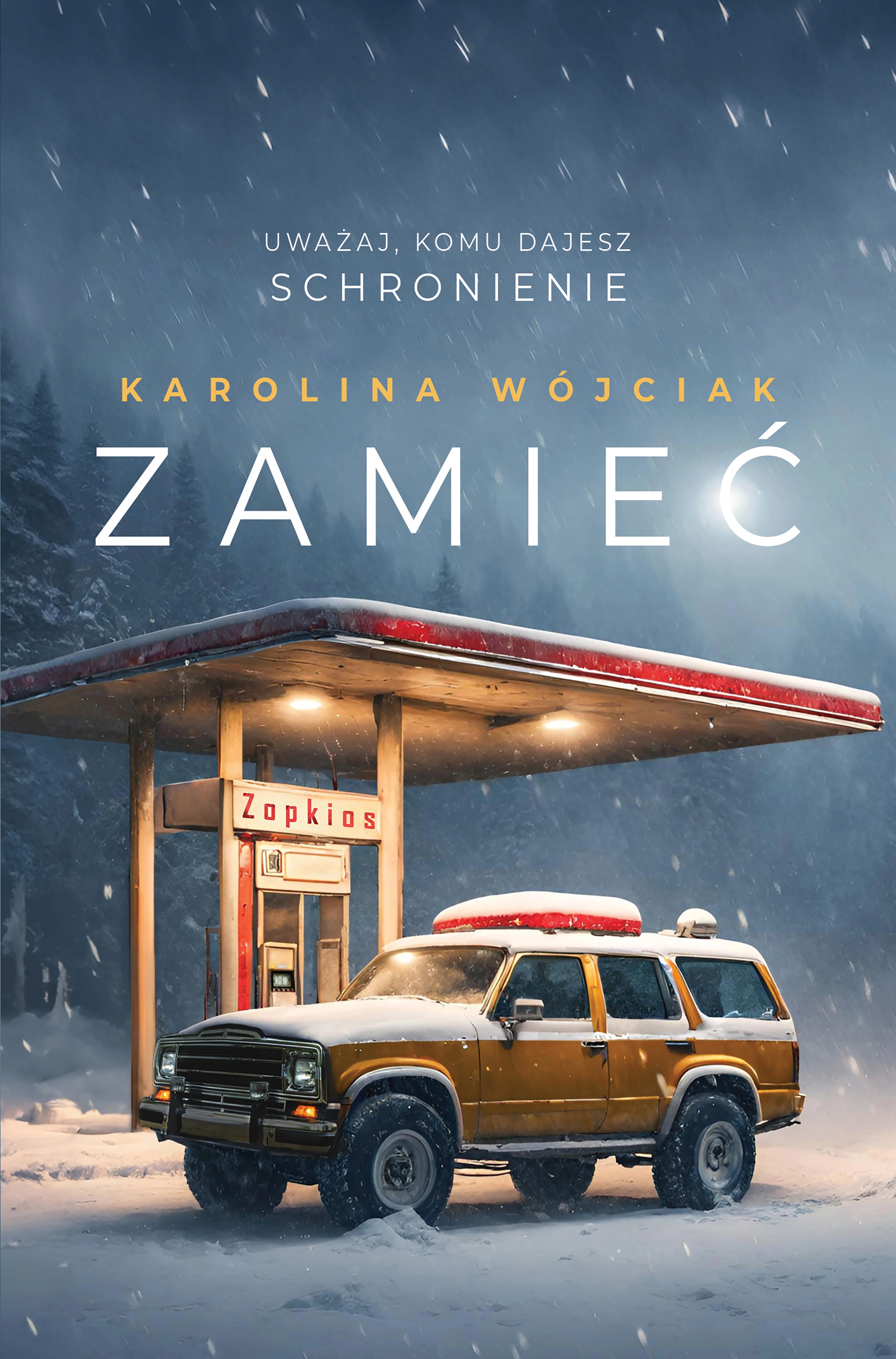 Zamieć - Książki