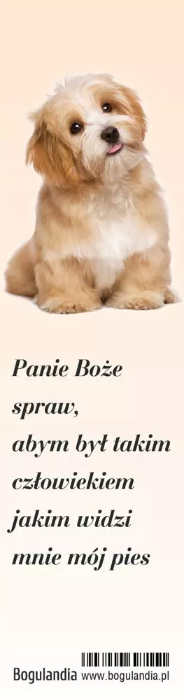 Zakładka do książki - Panie Boże spraw... - Papiernicze i szkolne