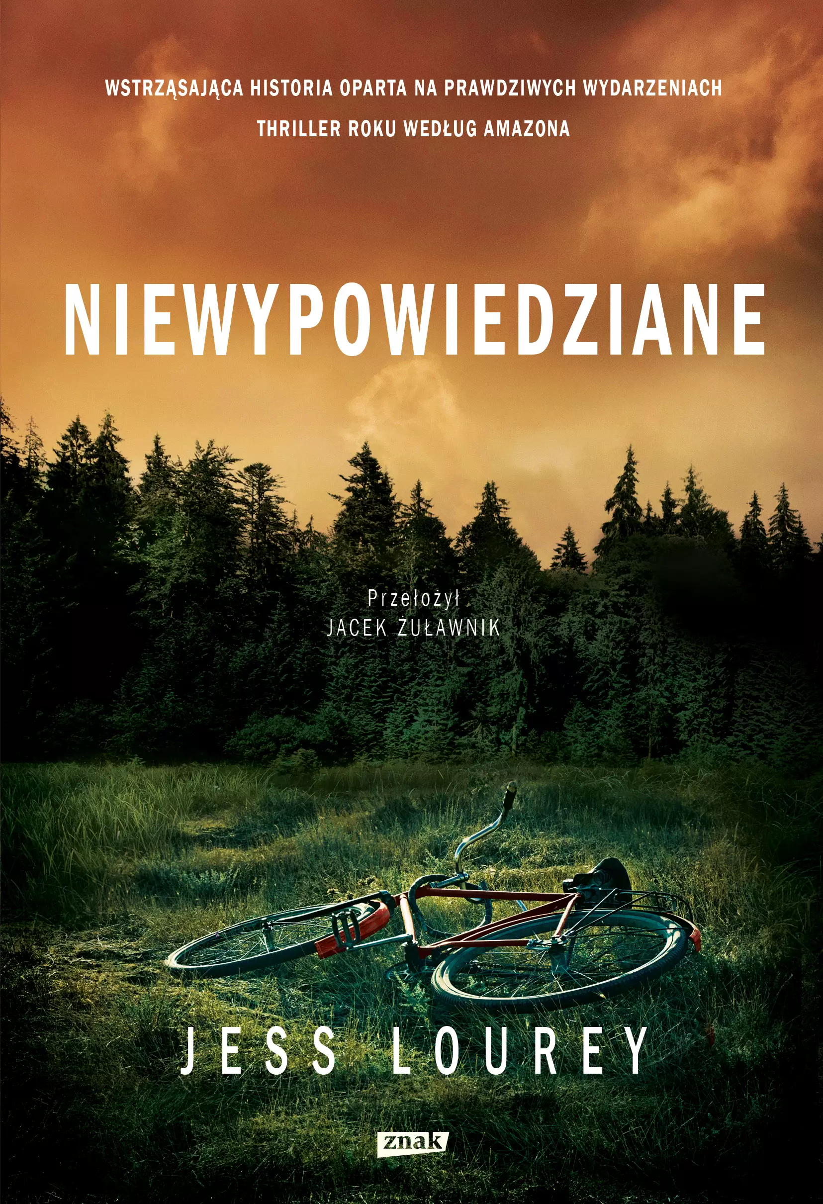 Niewypowiedziane - Książki