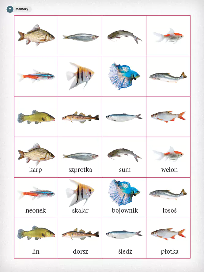 Ale to ciekawe! Wyprawka. Klasa 2 - Książki