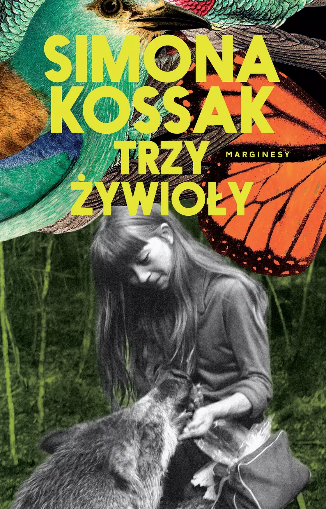 Trzy żywioły - Książki