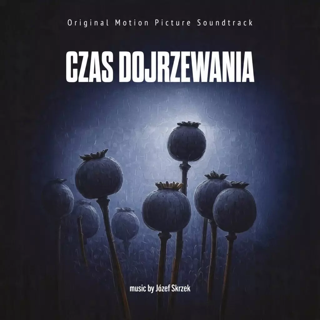 Czas Dojrzewania (Józef Skrzek), CD - Muzyka