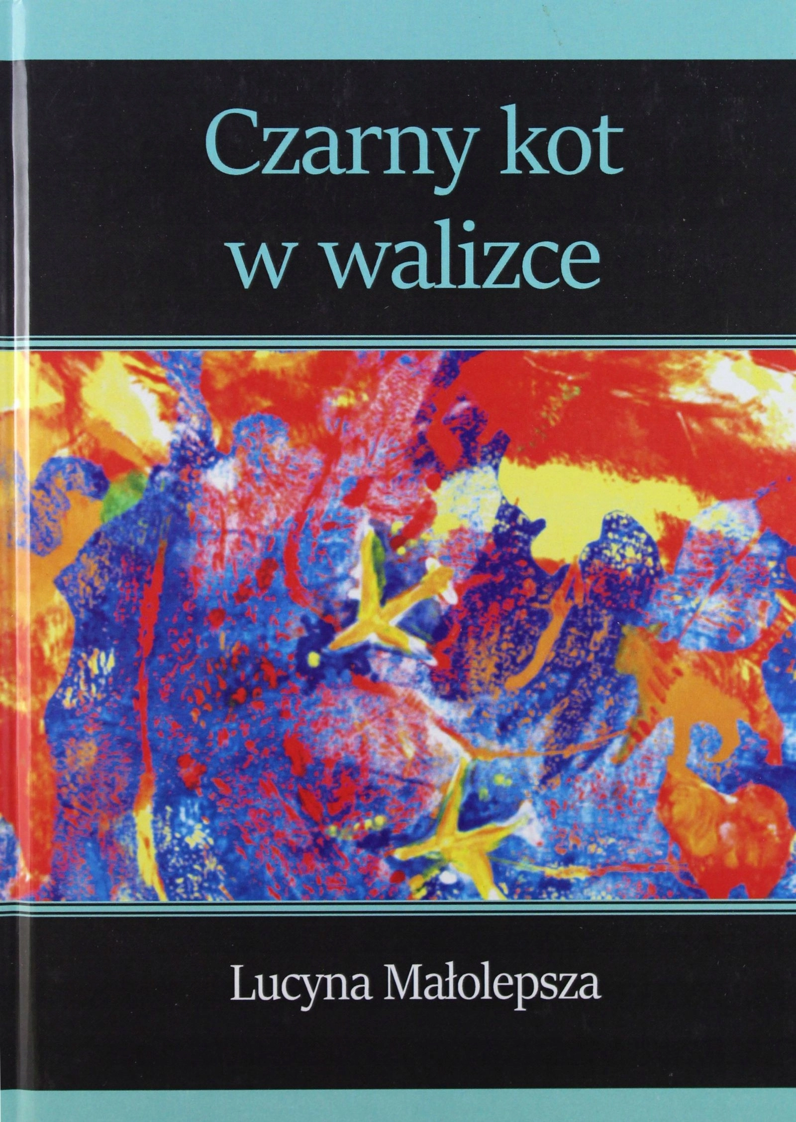 Czarny kot w walizce - Książki