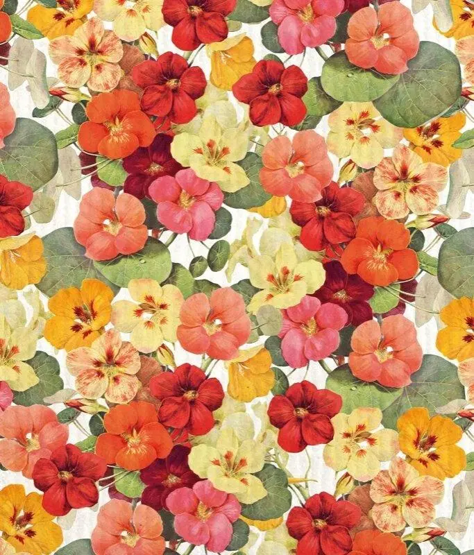 Ściereczka do naczyń Nasturcja STDISH26 - Mama i dziecko