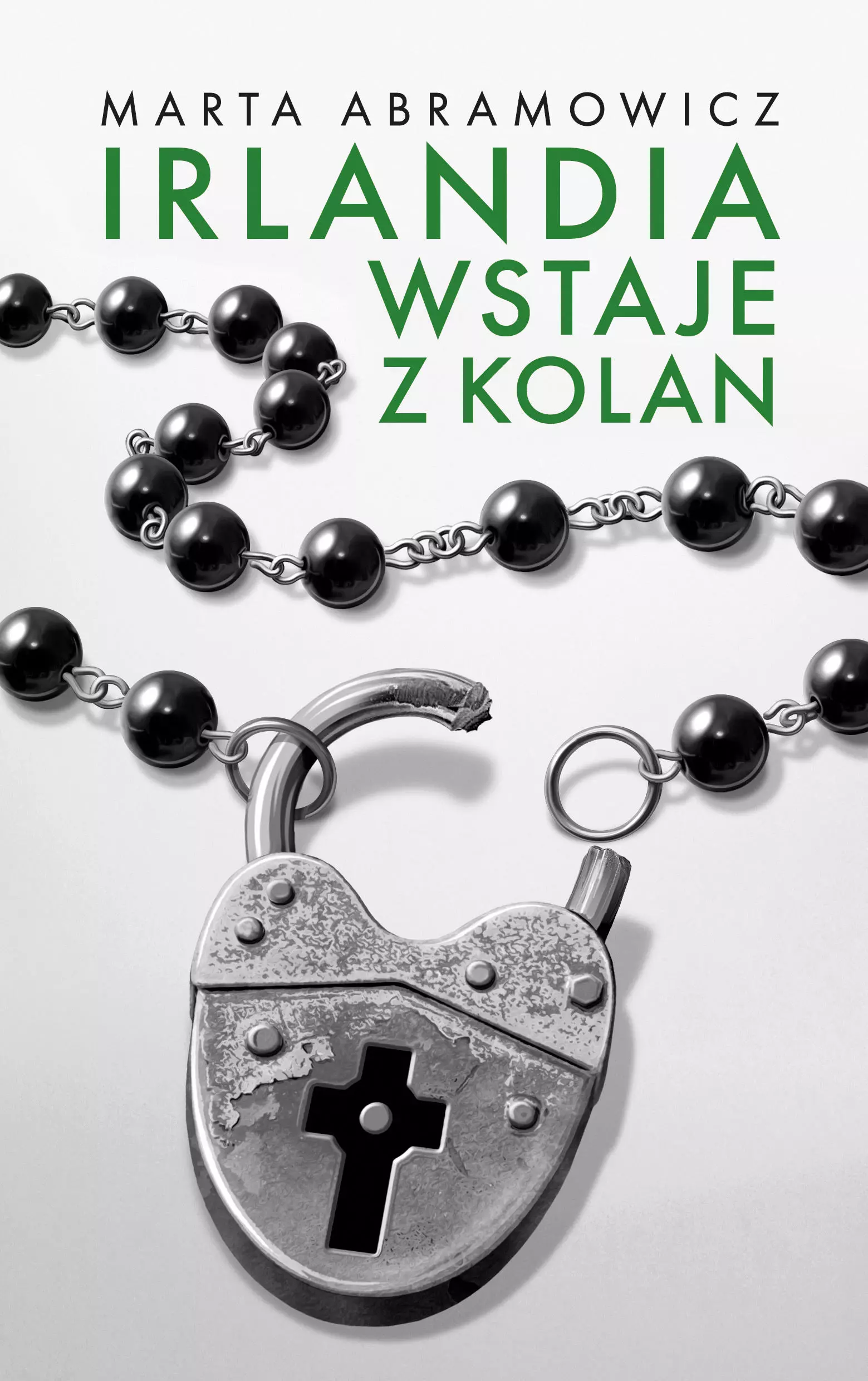 Irlandia wstaje z kolan - Książki