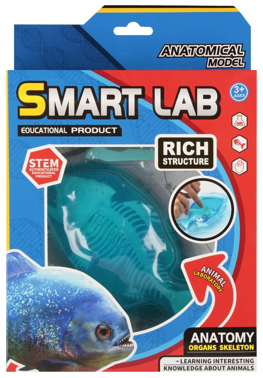 Zestaw Naukowca Anatomia Ryba Mega Creative 567933 - Zabawki