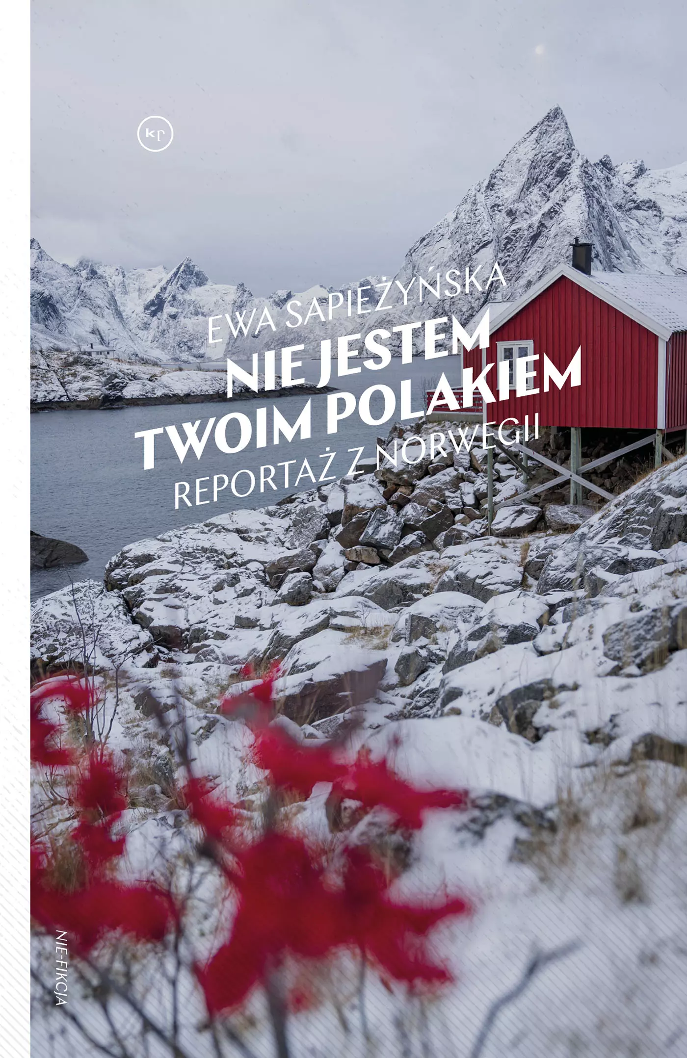 Nie jestem twoim Polakiem. Reportaż z Norwegii - Książki