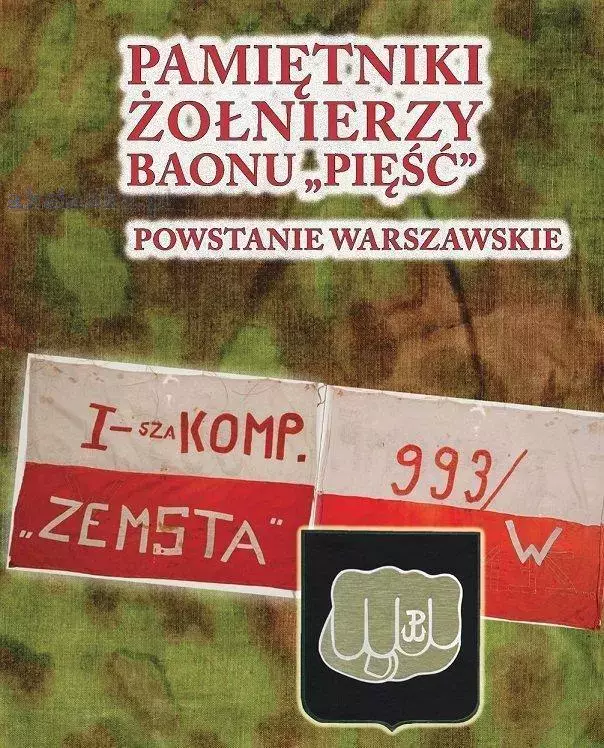 Pamiętniki żołnierzy baonu „Pięść” - Książki