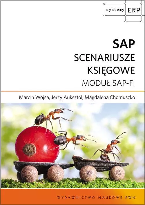 SAP. Scenariusze księgowe. Moduł SAP-FI - Książki