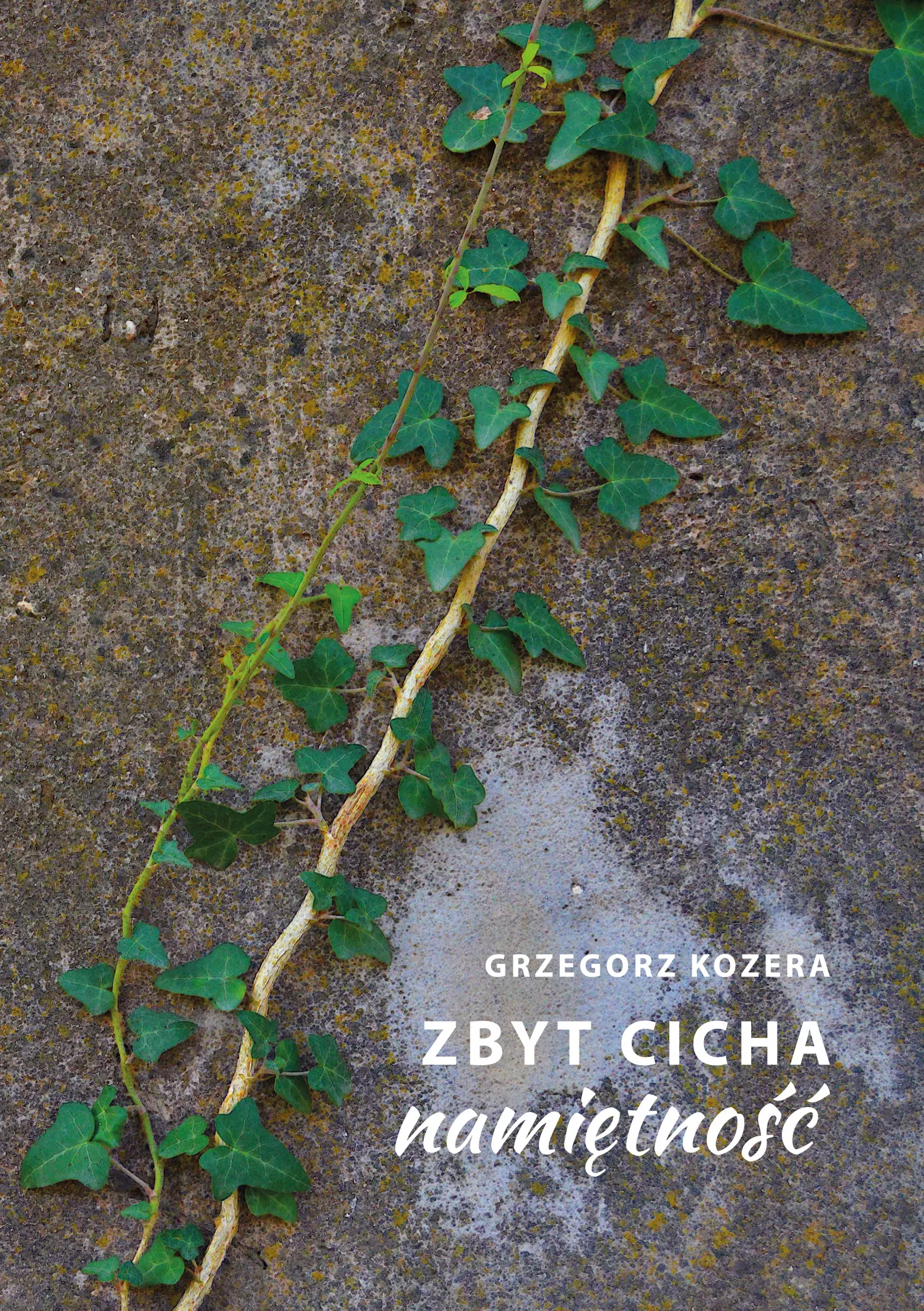Zbyt cicha namiętność - Książki