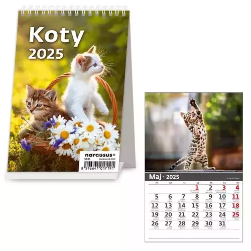 Kalendarz 2025 Biurkowy pionowy Koty miesięczny - Książki