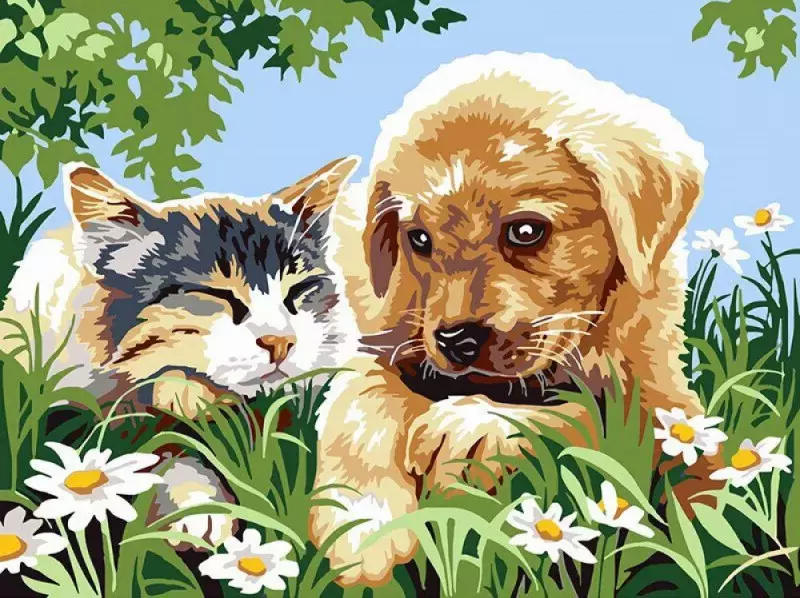 Obraz Malowanie po numerach - Piesek z kotkiem - Zabawki