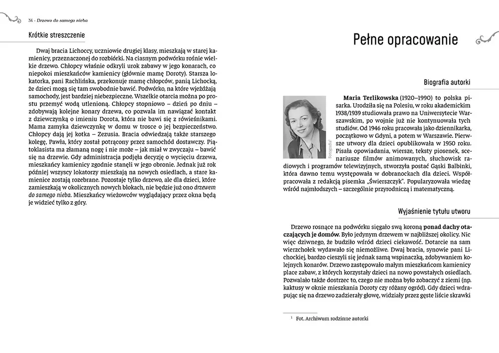 Drzewo do samego nieba (wydanie z opracowaniem i streszczeniem) - Książki