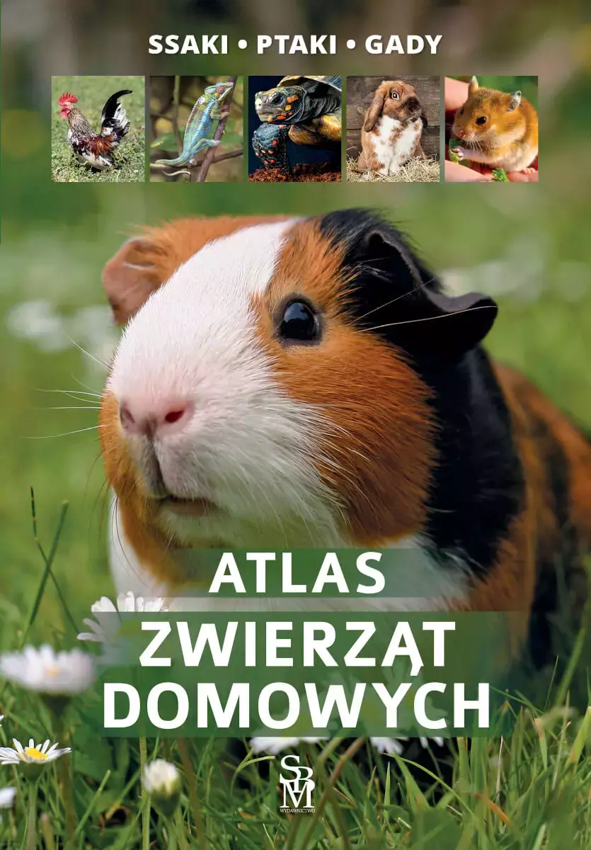 Atlas zwierząt domowych - Książki