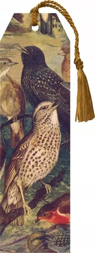 Zakładka 136 ze wstążką Ptaki - Książki