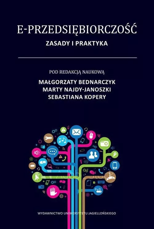 E-przedsiębiorczość. Zasady i praktyka - Książki