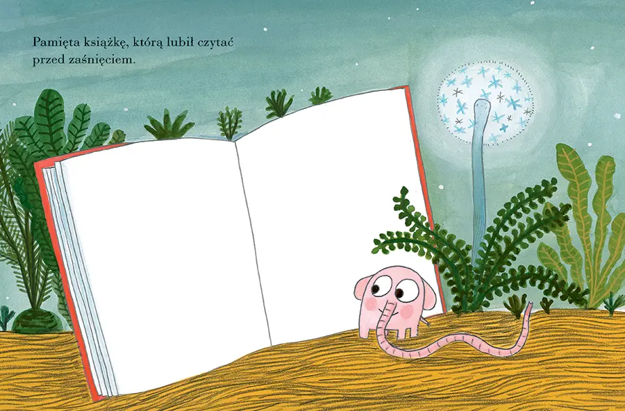 Pomelo wspomina - Książki