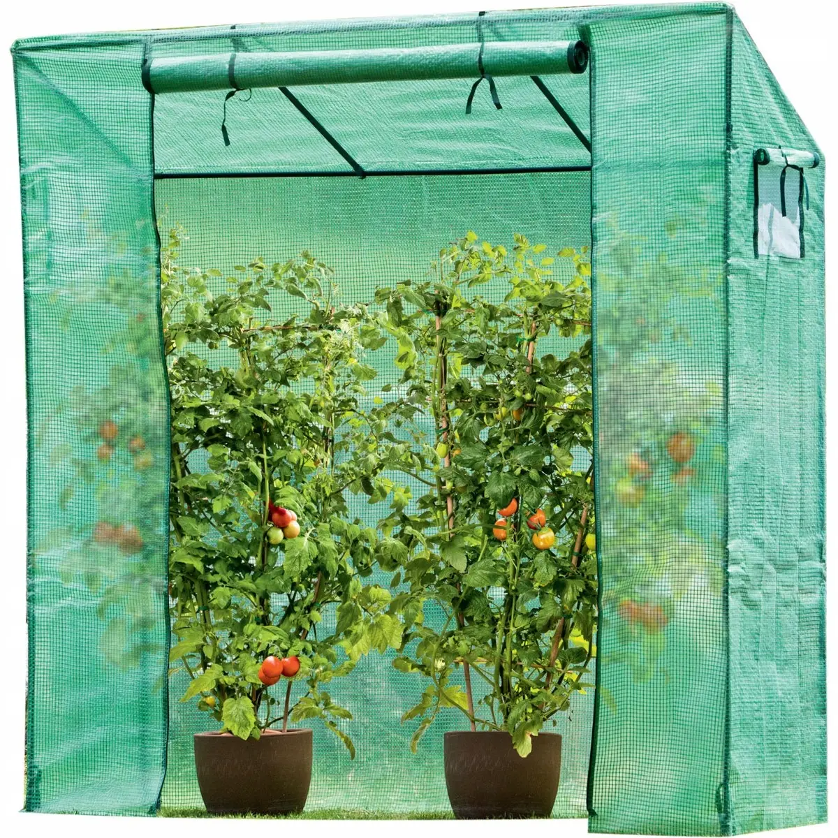 Szklarnia do Pomidorów Ogórków 200x77x168-150CM PE Zielona - Elektronika i akcesoria