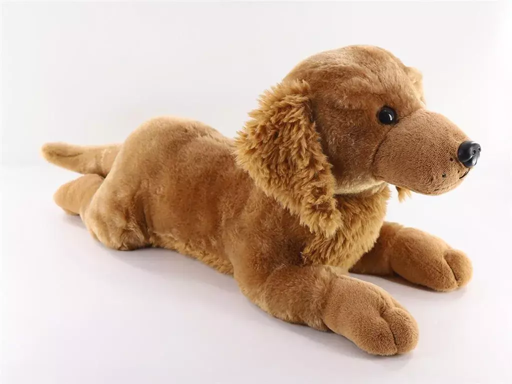 Golden leżący, 60 cm