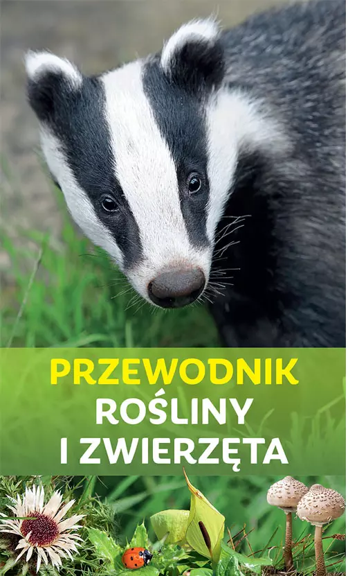 Przewodnik. Rośliny i zwierzęta - Książki