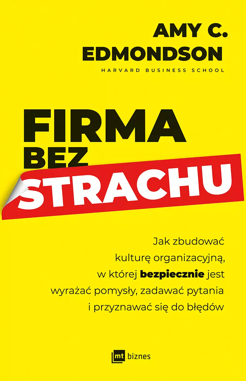 Firma bez strachu - Książki