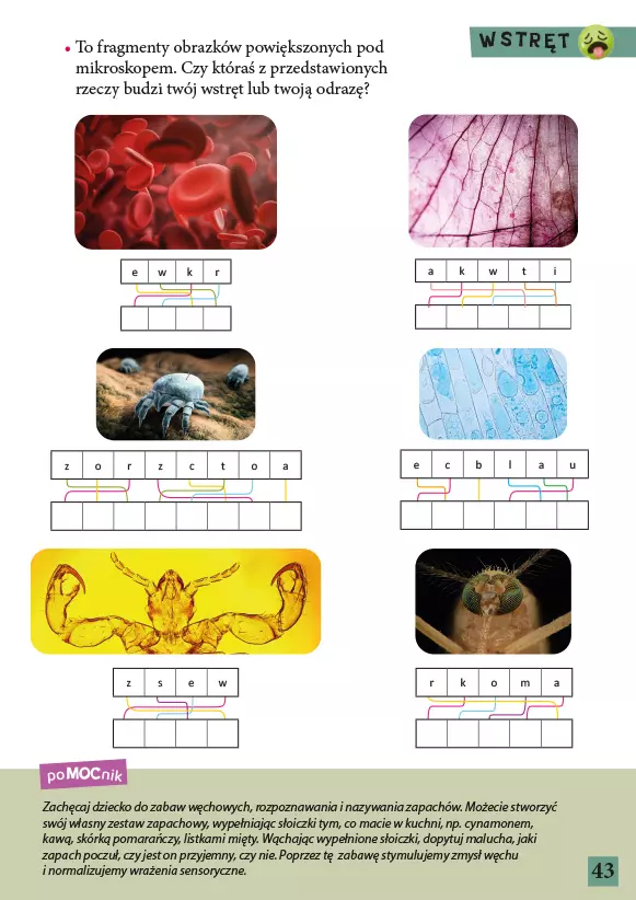 MAM eMOCje. Wiek 5-6 lat - Książki