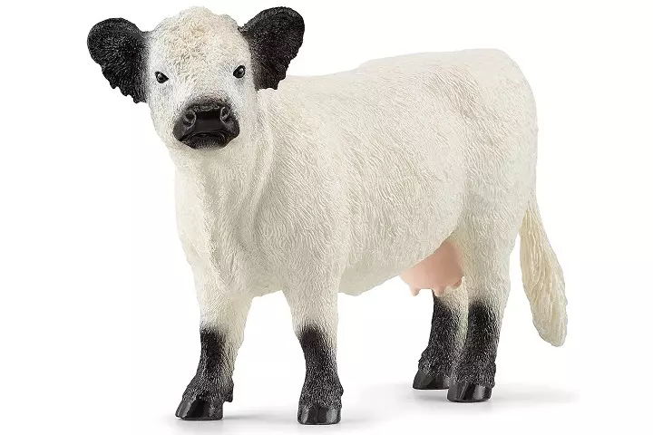 Figurka krowa rasy Galloway