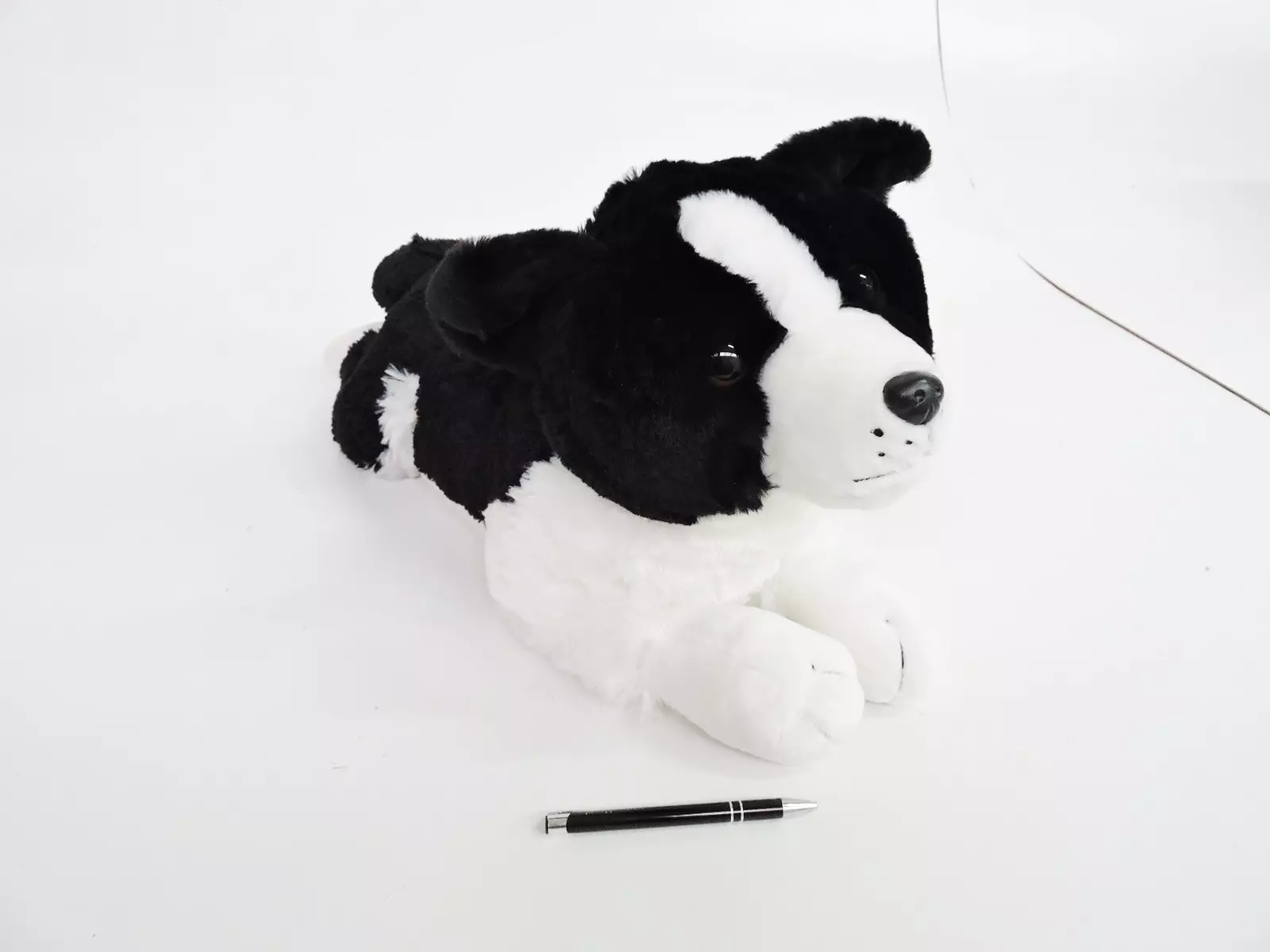 Maskotka pies Border Collie 60 cm, leżący
