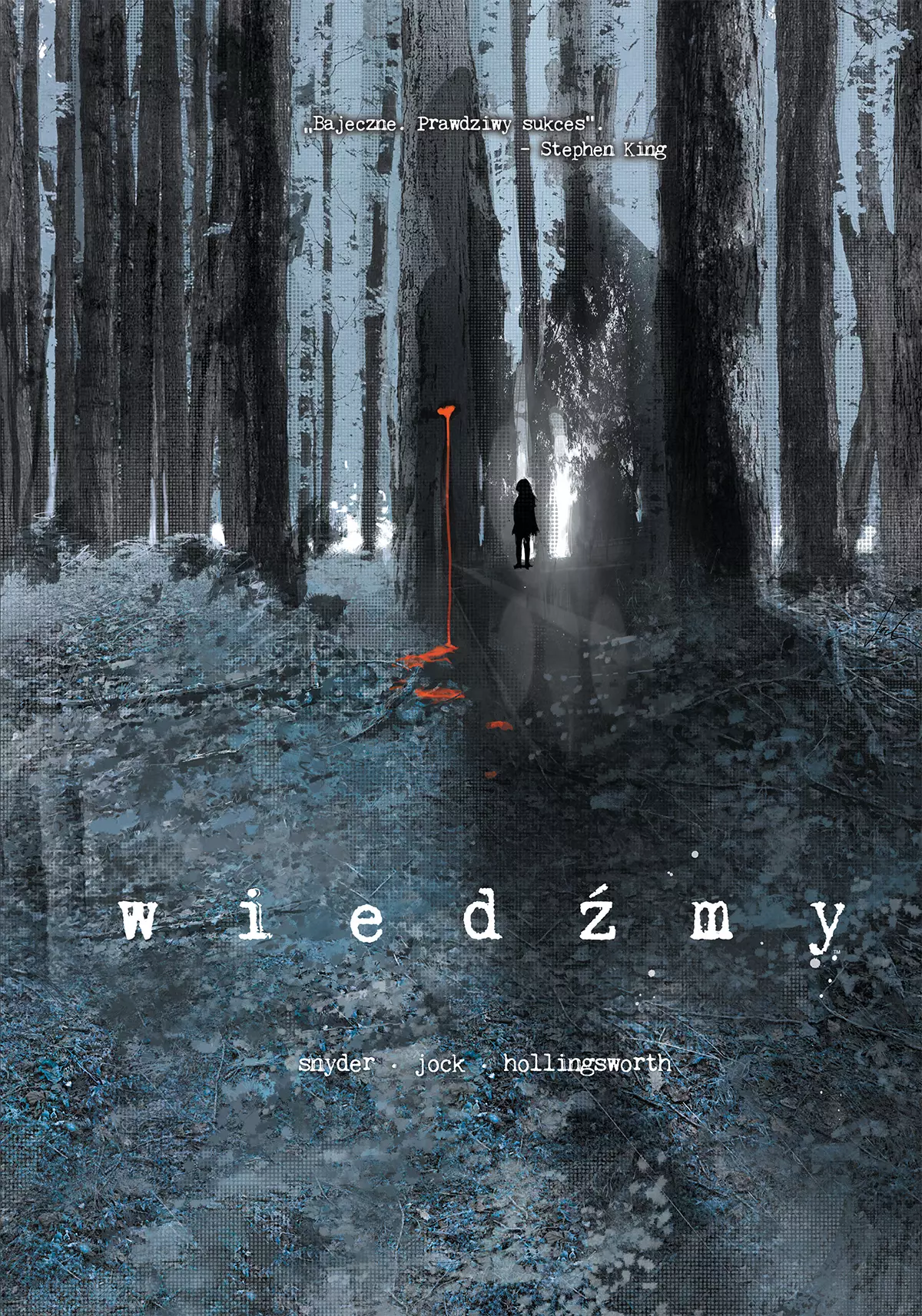Wiedźmy - Książki