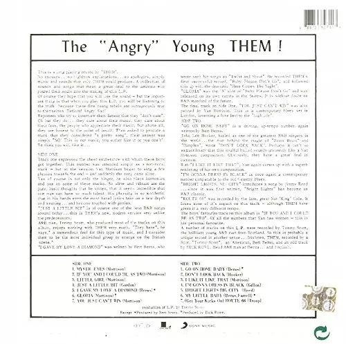 The "Angry" Young Them!, Winyl - Muzyka